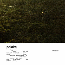 Polaire
