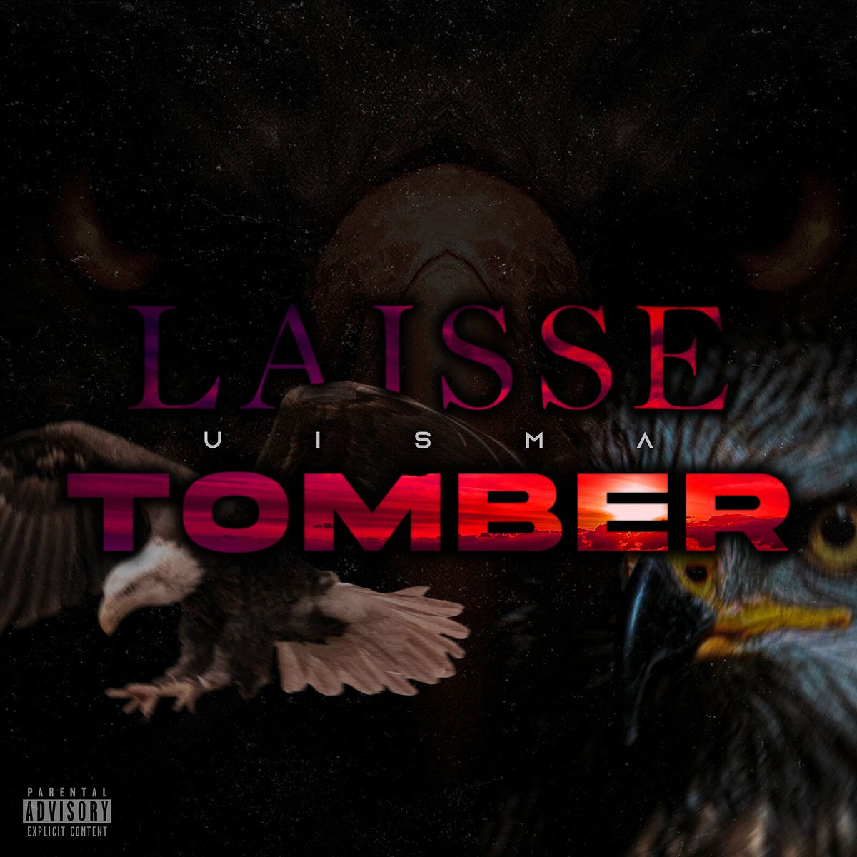 Album cover of LAISSE TOMBER