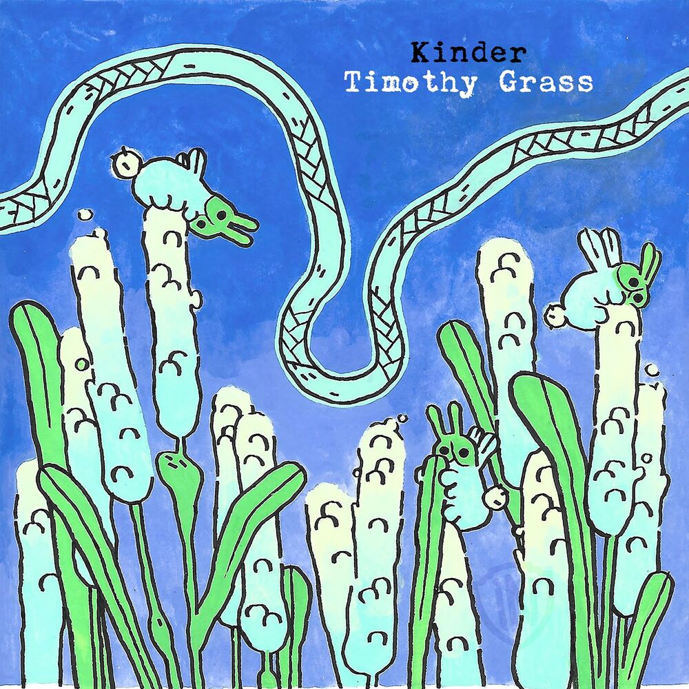 Picture of Timothy Grass