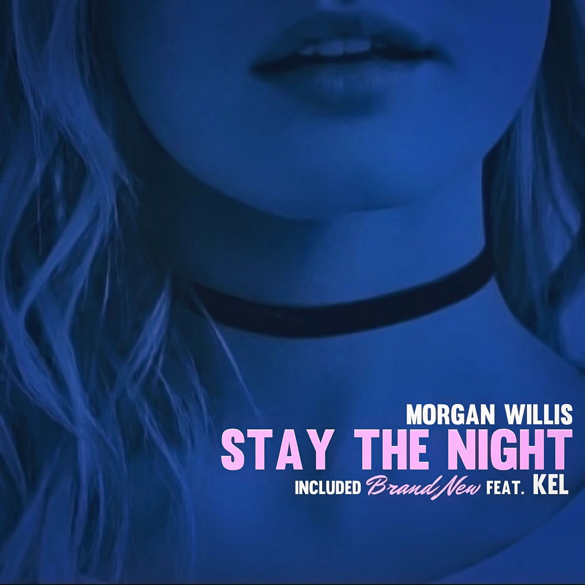 Album cover of Stay the Night