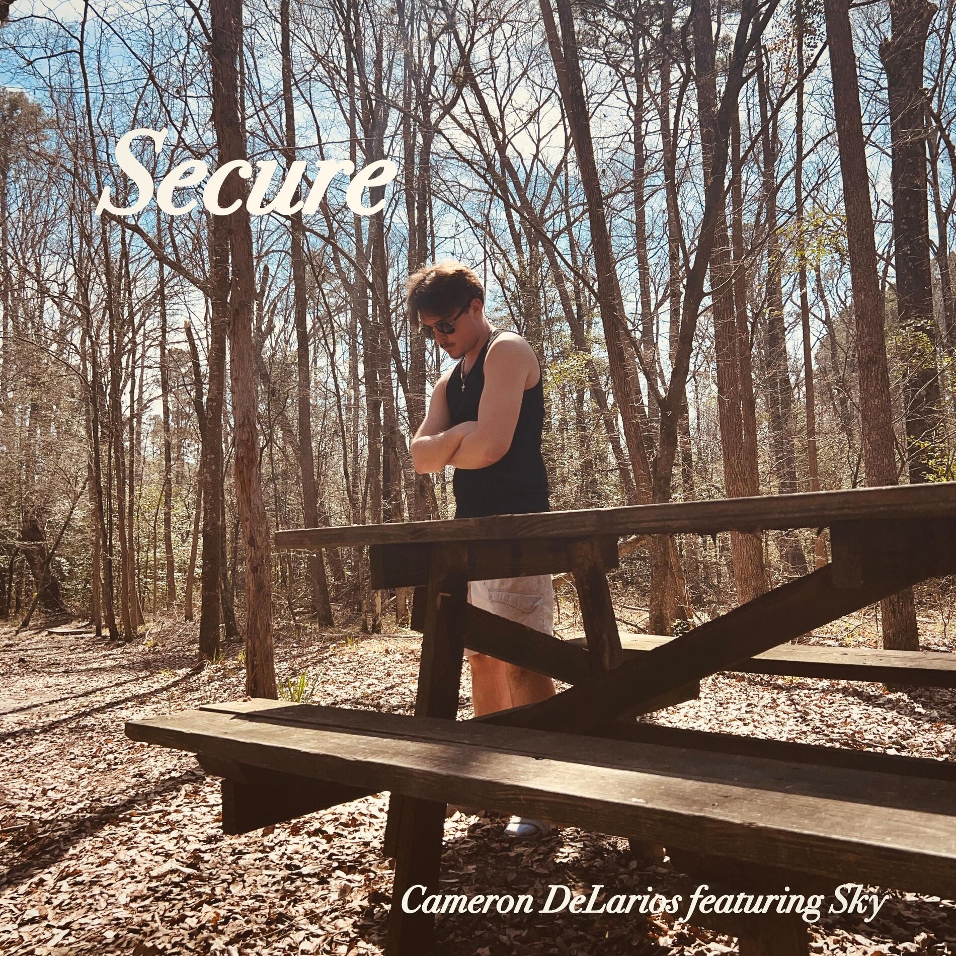 Album cover of Secure
