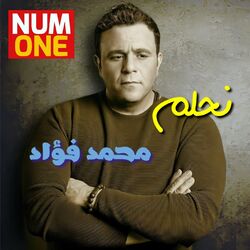 Cover of Nehlam