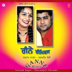 Cover of Ganne (Remix)