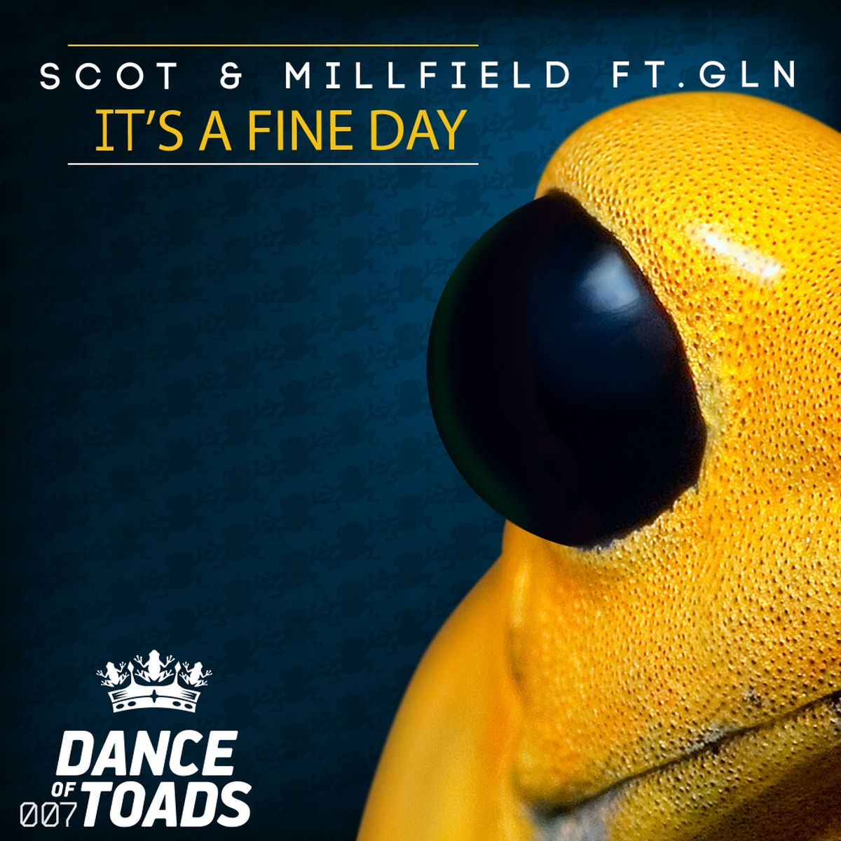 Album cover of It's A Fine Day