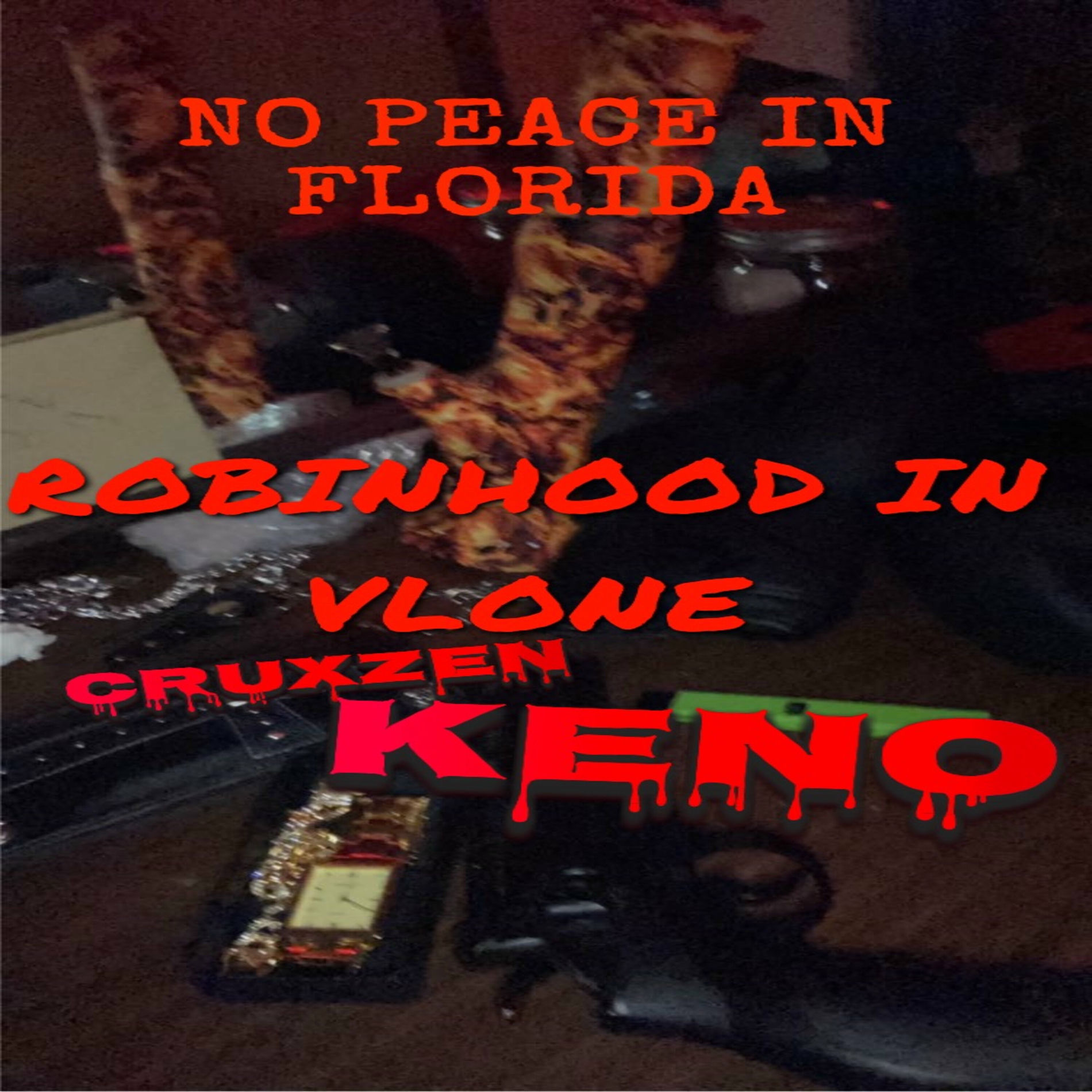 Album cover of ROBIN HOOD IN VLONE