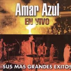 Cover of Sus Más Grandes Éxitos (En Vivo)