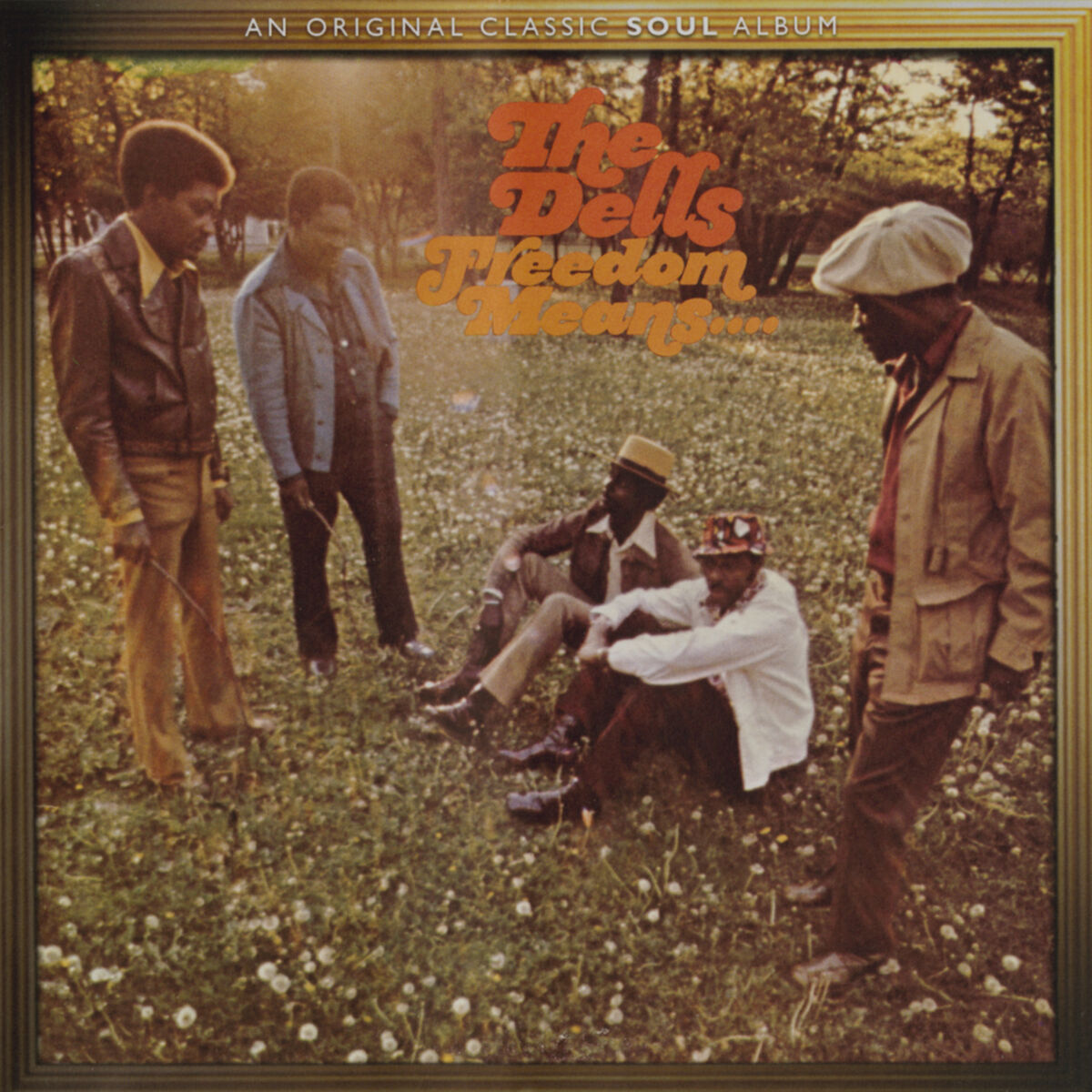 Album cover of Freedom Means