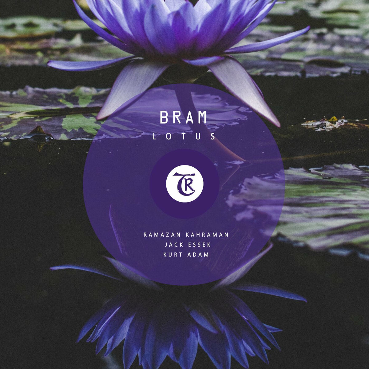 Album cover of Lotus