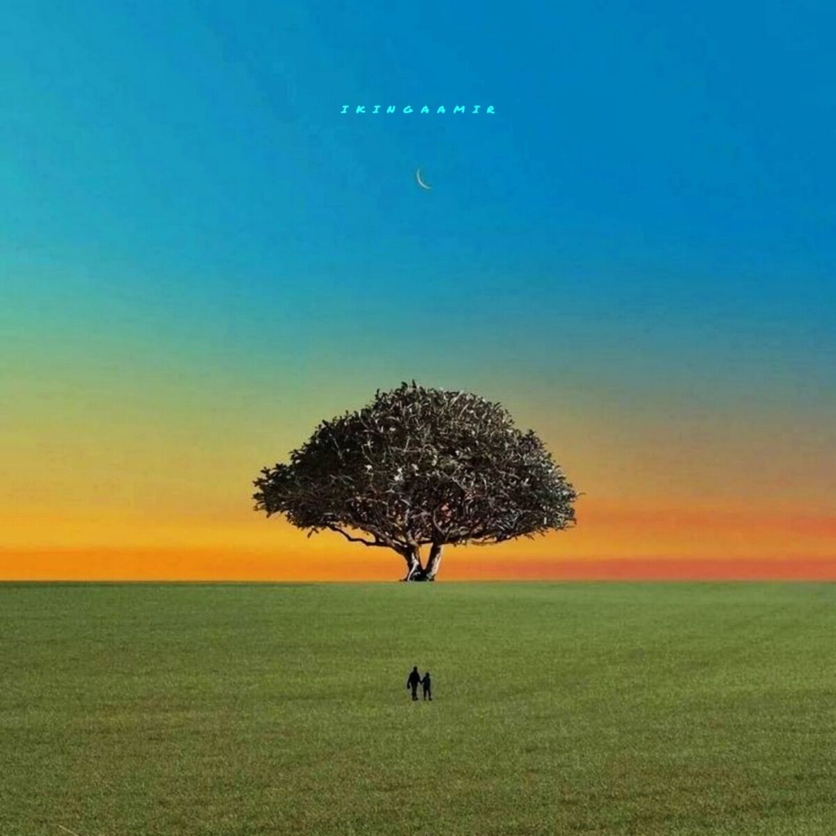 Album cover of Since Tum
