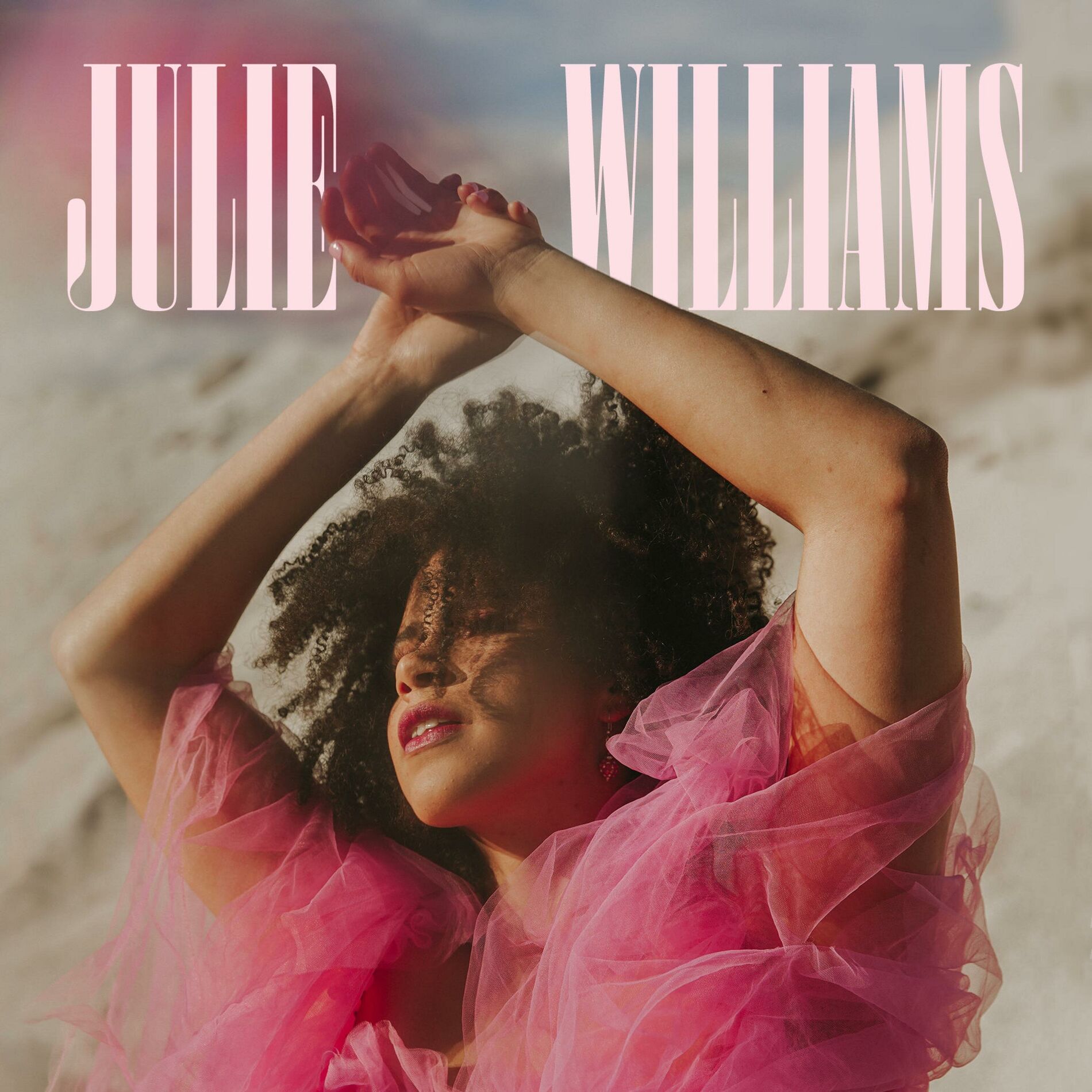 Album cover of Julie Williams