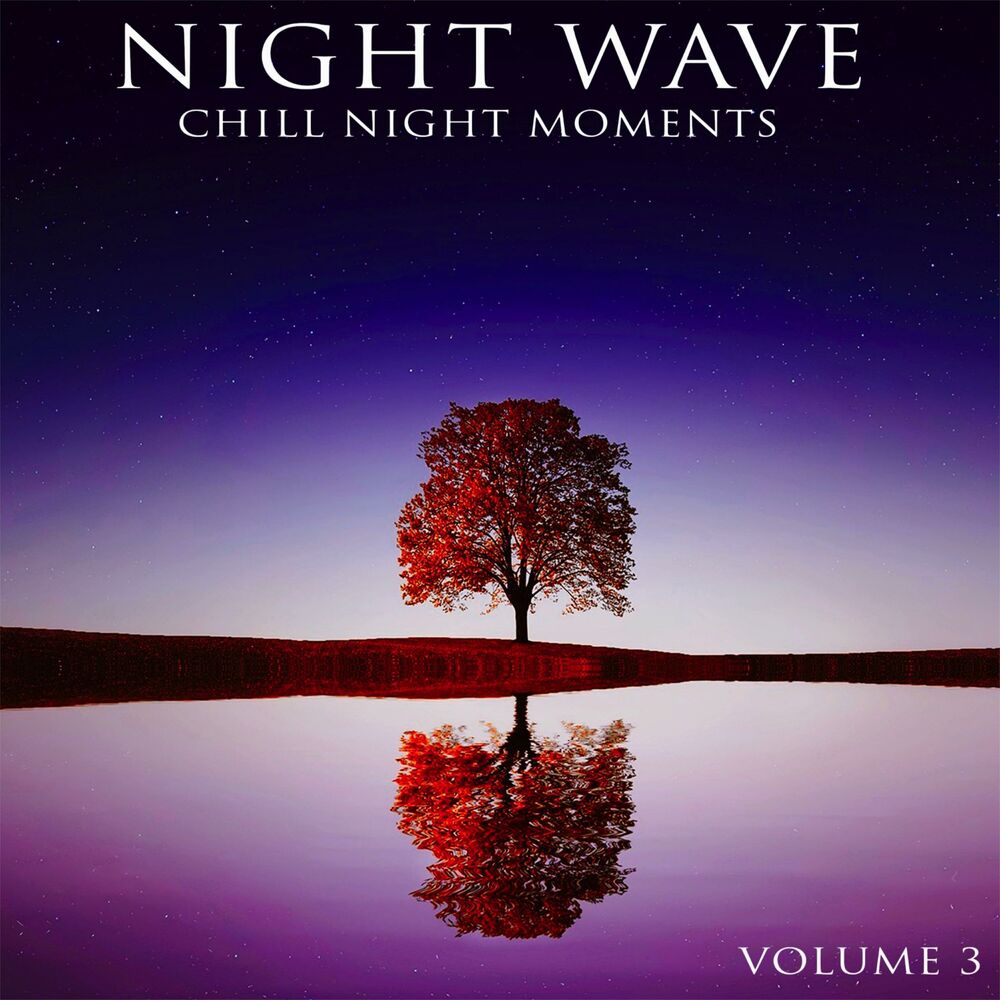 Picture of Night Wave, Vol. 3 - Chill Night Moments (Album)