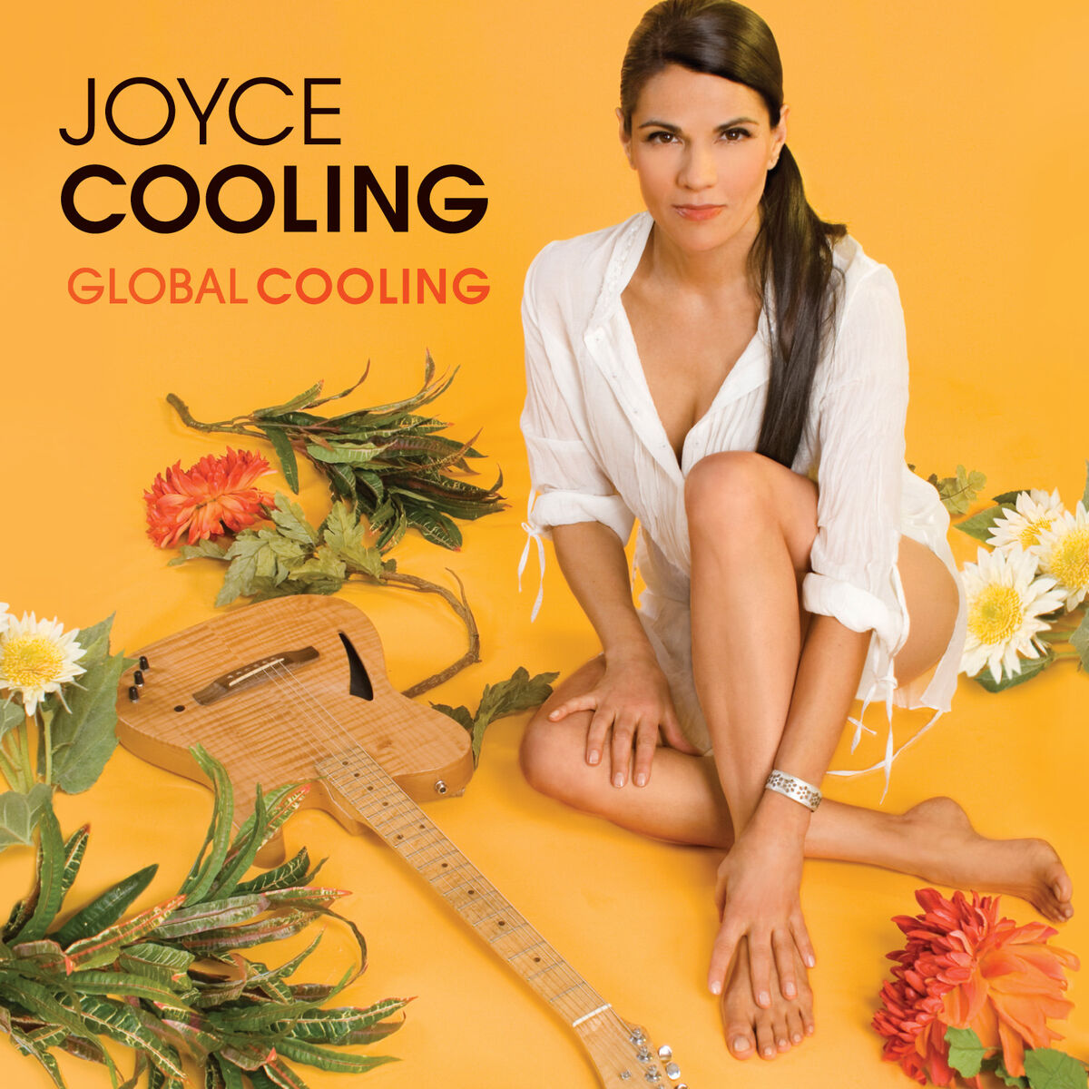 Album cover of Global Cooling