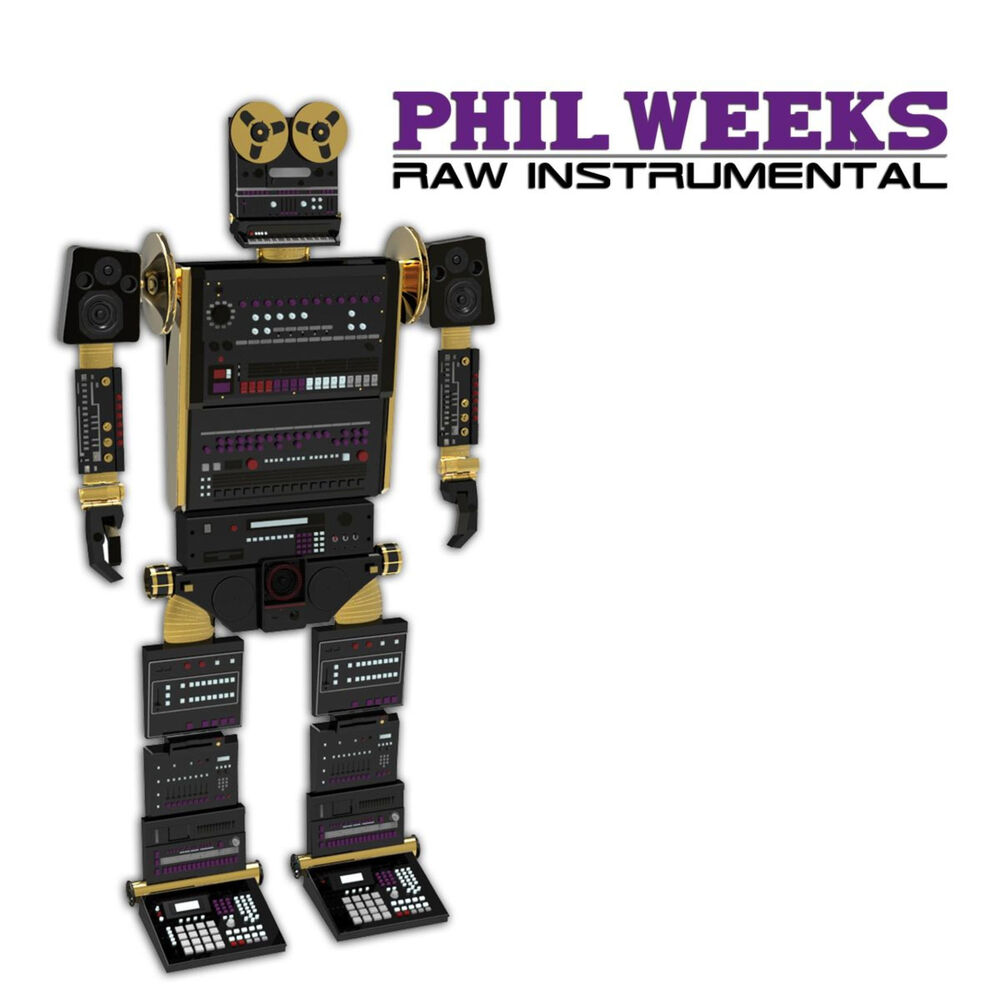 Picture of Raw Instrumental LP