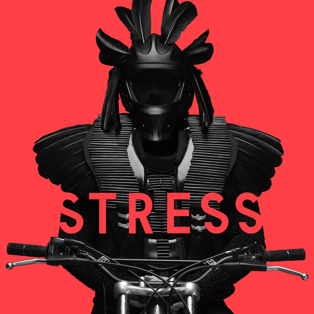 Picture of Stress