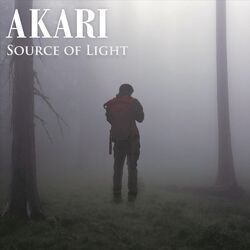 Cover of Source of Light