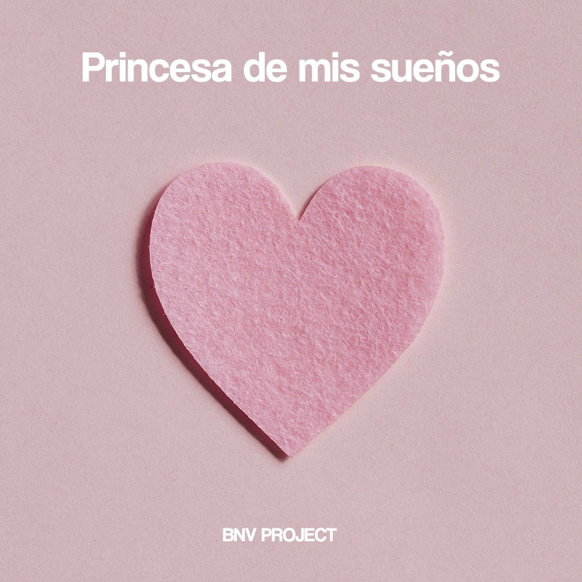 Album cover of Princesa de mis sueños