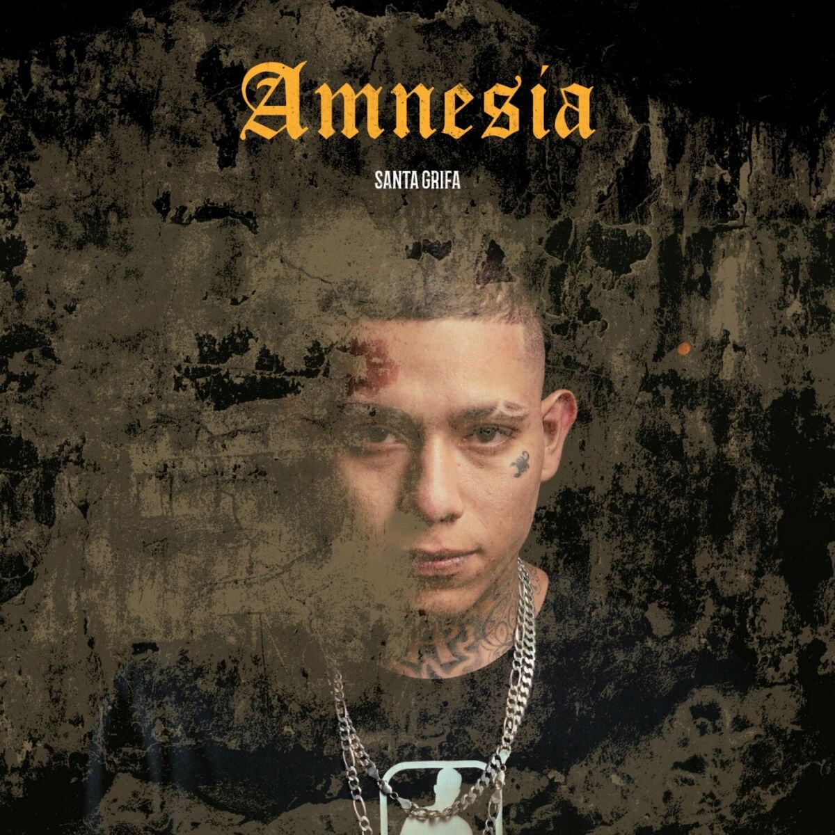 Album picture of Amnesia