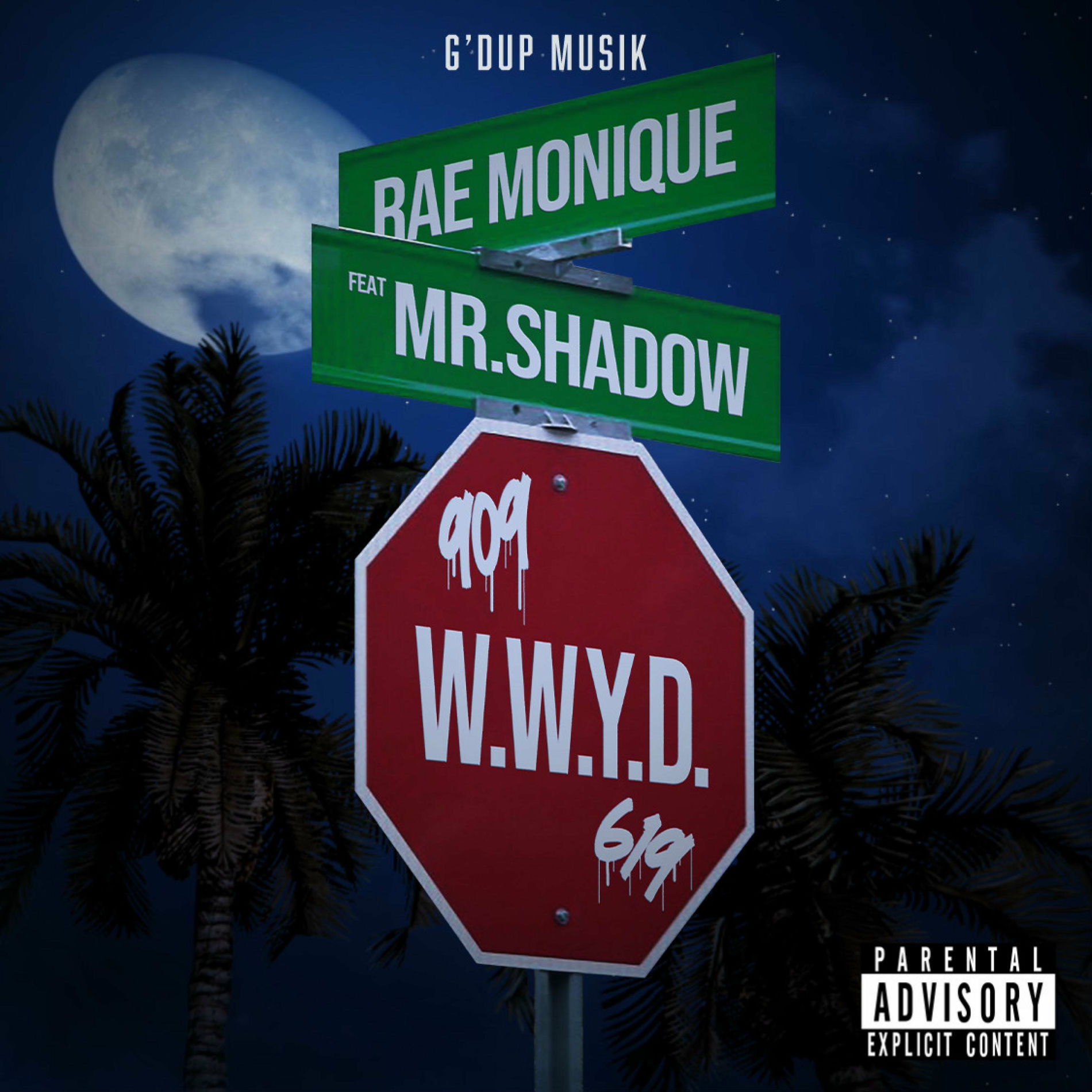 Album cover of W.W.Y.D (feat. Mr. Shadow)