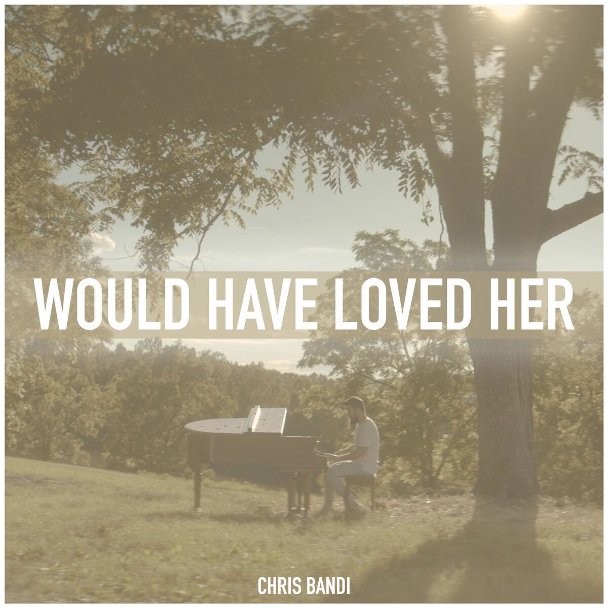 Album cover of Would Have Loved Her