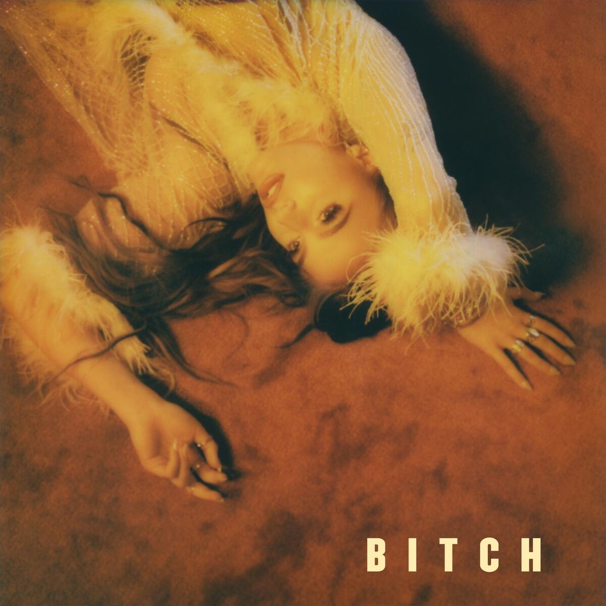 Album cover of BITCH (takes one to know one)