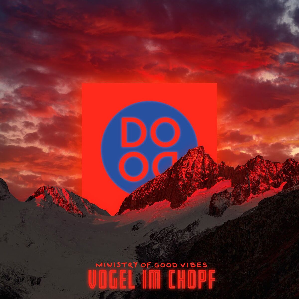 Album cover of Vogel im Chopf