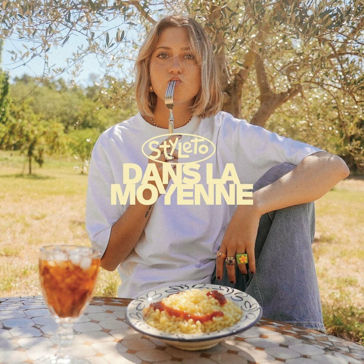 Album cover of Dans la moyenne