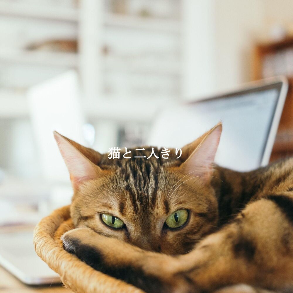 Picture of 猫と二人きり
