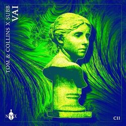 Cover of Vai
