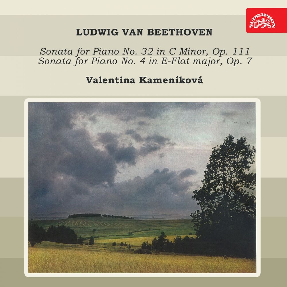 Picture of Beethoven: Piano Sonatas