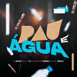Cover of Pau e Água