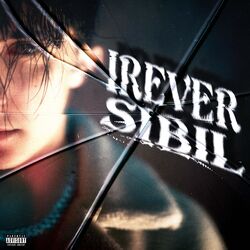 Cover of IREVERSIBIL