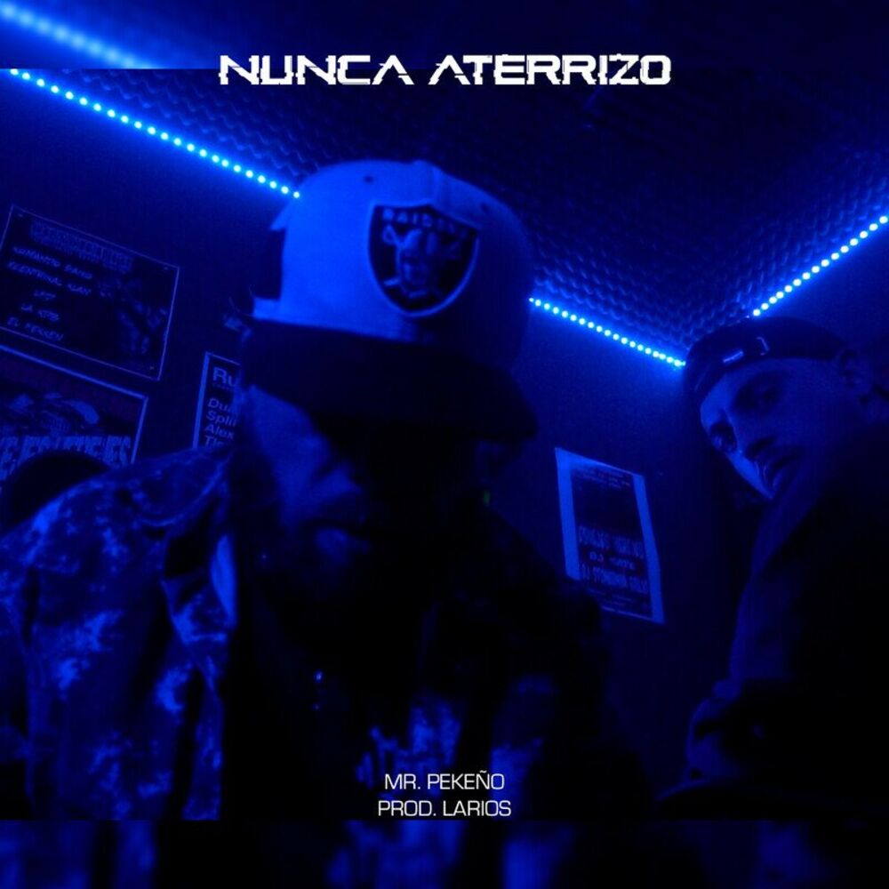 Picture of NUNCA ATERRIZO