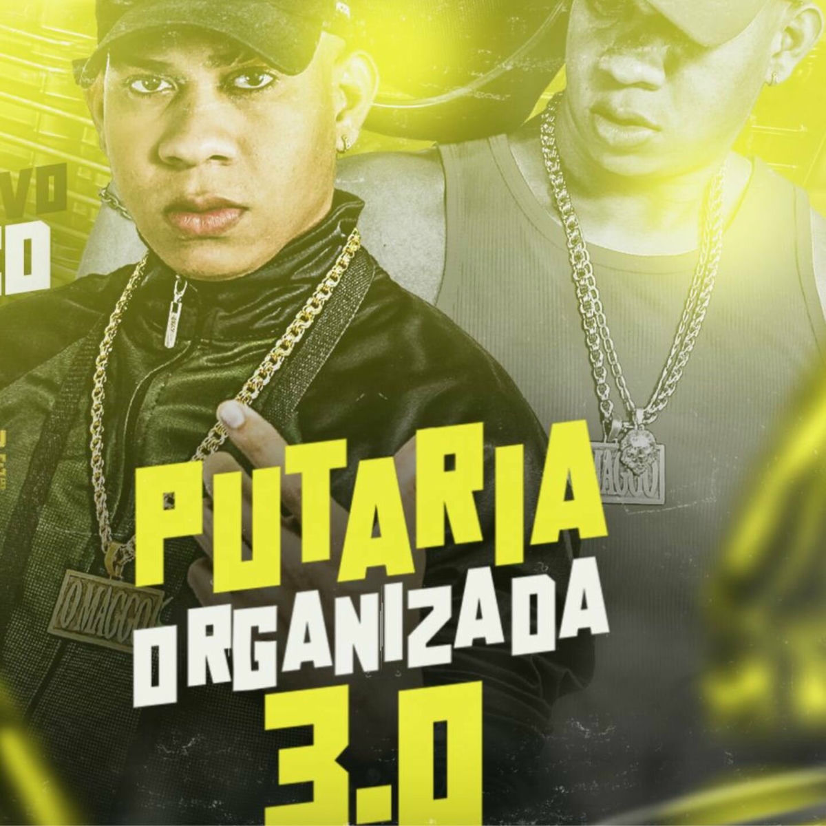 Album cover of Putaria Organizada 3.0