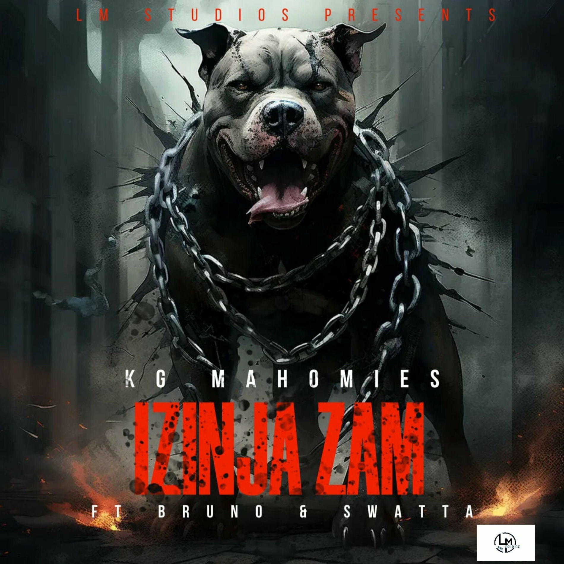 Album cover of Izinja Zam