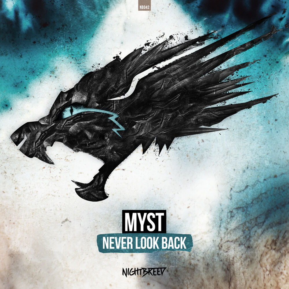 Picture of Never Look Back (Radio Edit)