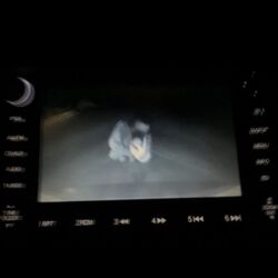 Cover of Car Ride