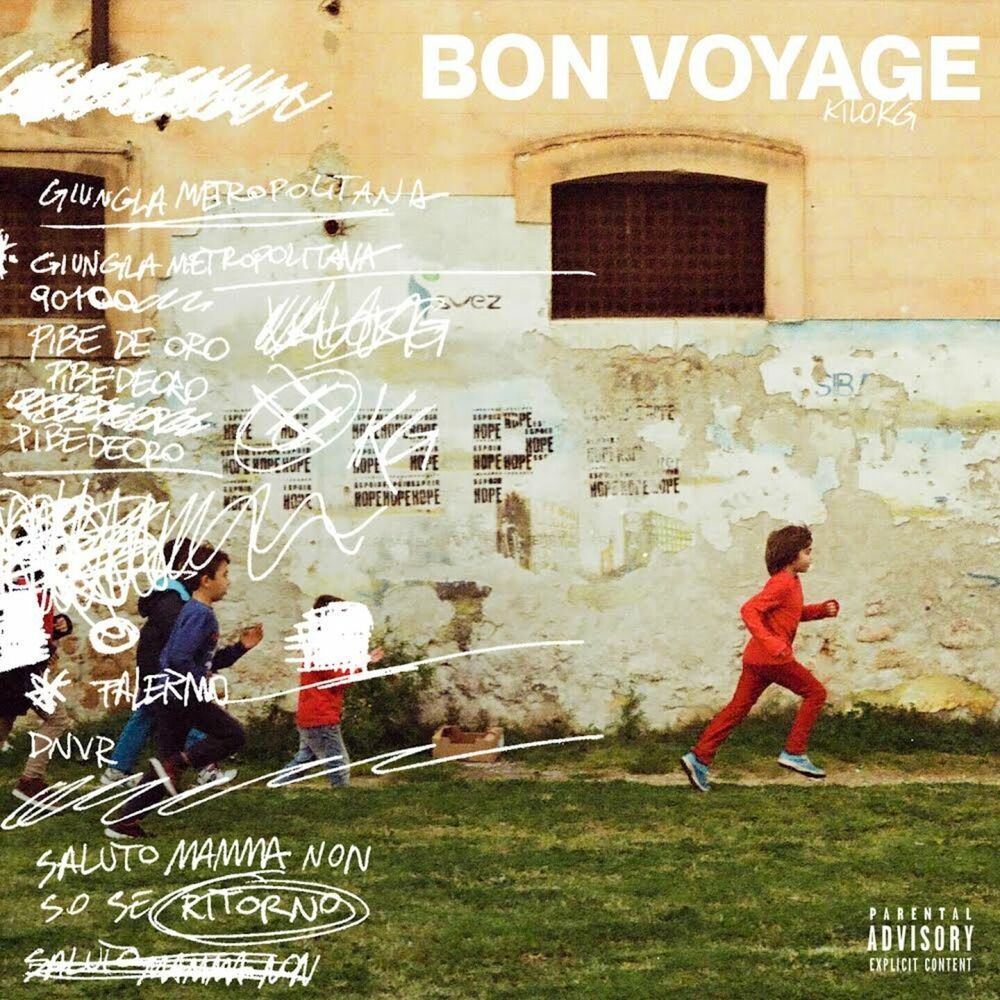Picture of Bon Voyage