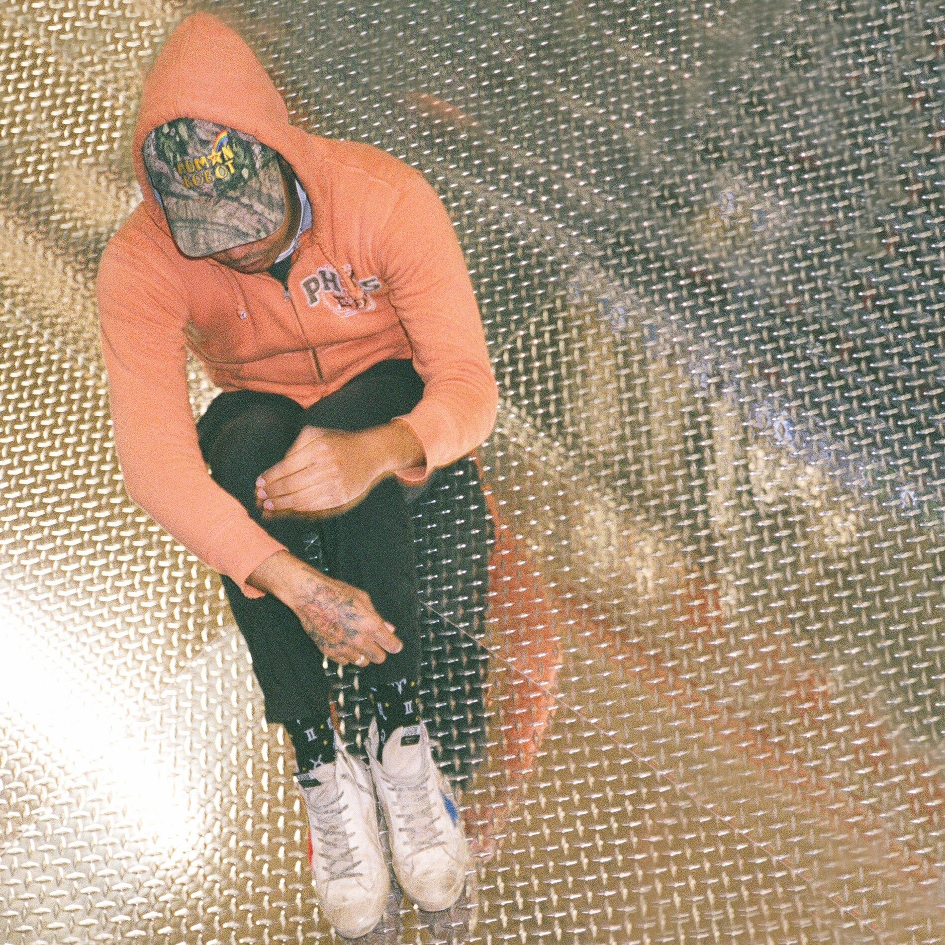 Album cover of DressFamous