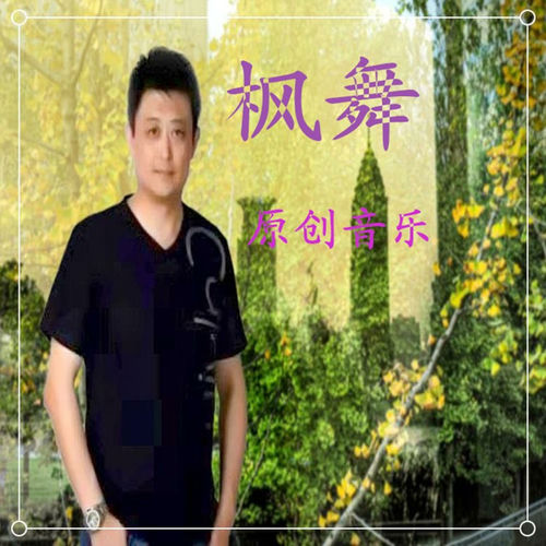枫舞专辑