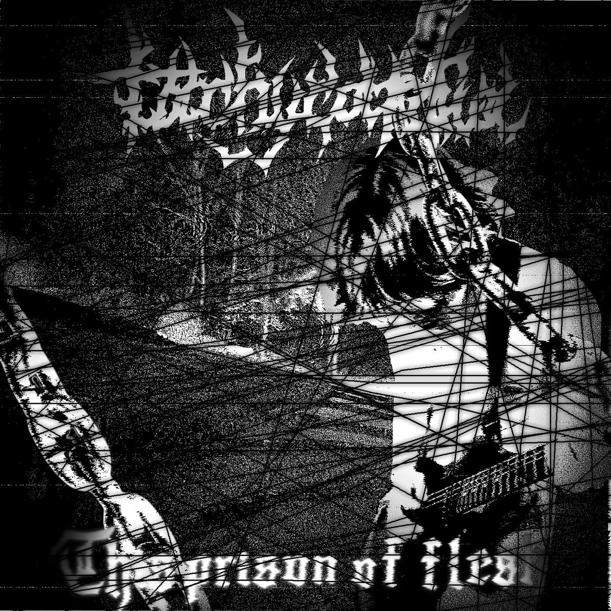 Album cover of This Prison of Flesh