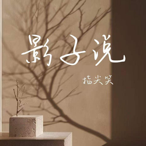 影子说
