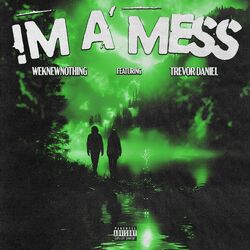 Cover of I’m a Mess