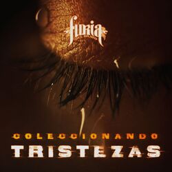 Cover of Coleccionando Tristezas