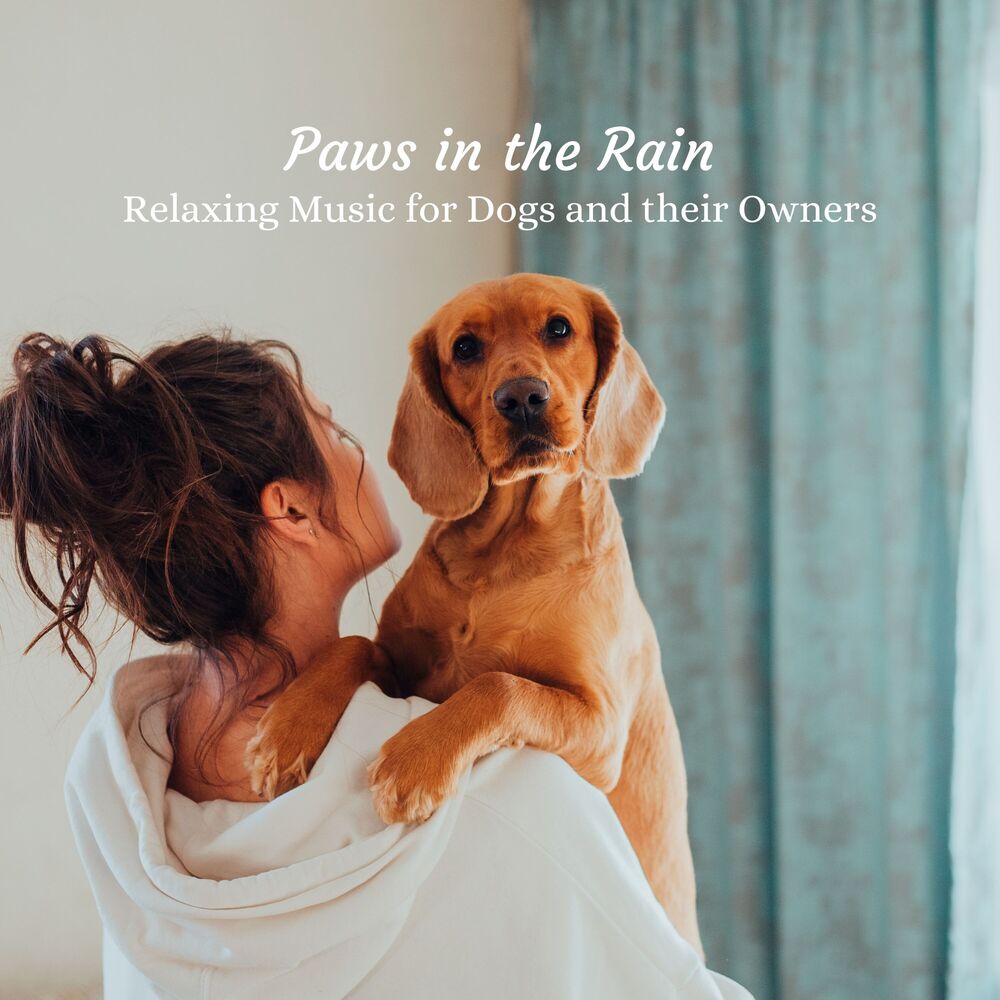 Picture of Paws in the Rain: Relaxing Music for Dogs and their Owners