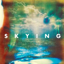 Cover of Skying