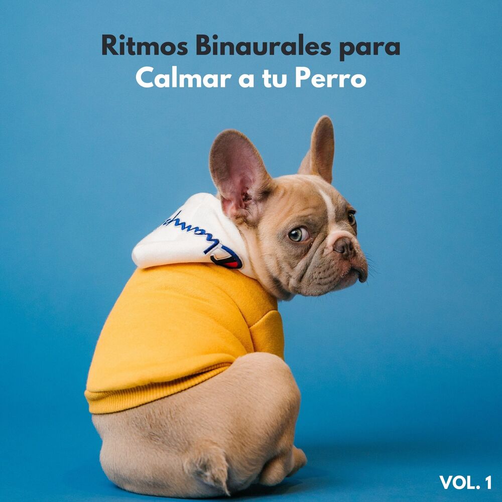 Picture of Ritmos Binaurales Para Calmar A Tu Perro Vol. 1