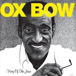 Cover of King of the Jews