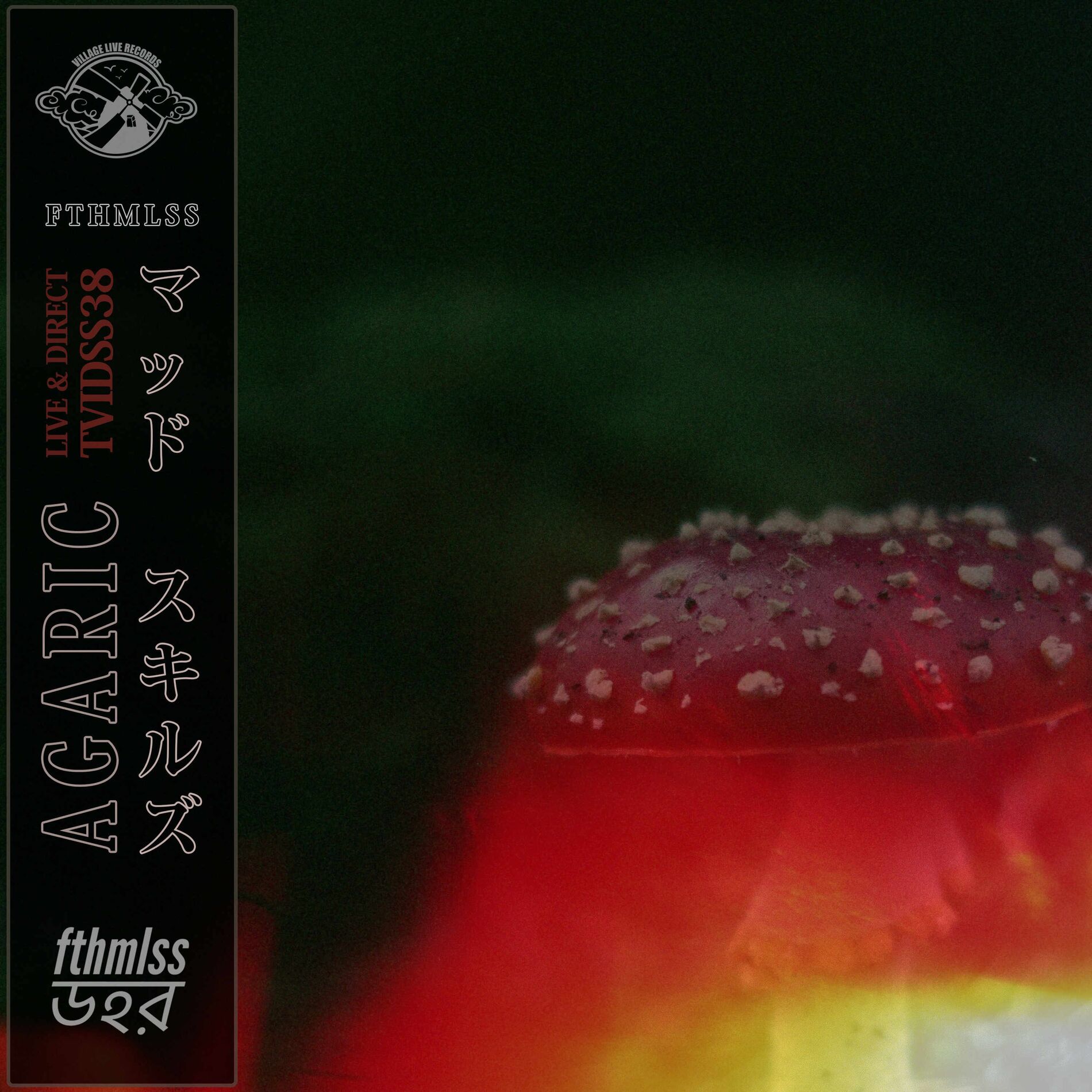 Album cover of Agaric