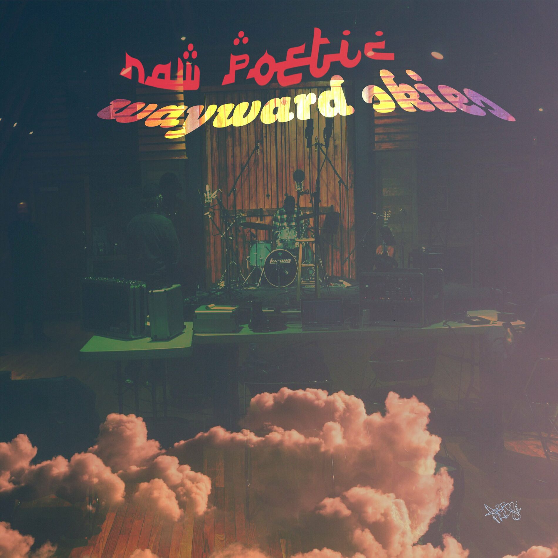 Album cover of Wayward Skies