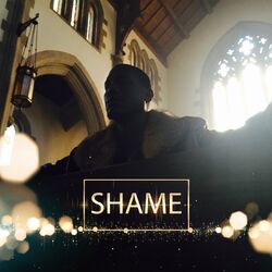 Cover of Shame